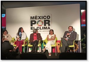 WhatsApp Image 2025-11-03 at 3.24.18 PM